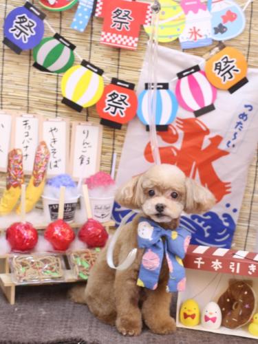 20240717モカくん